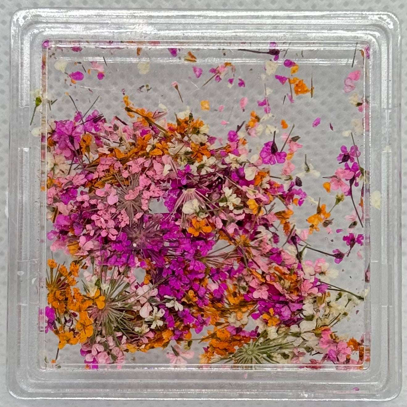 DRIED FLOWERS