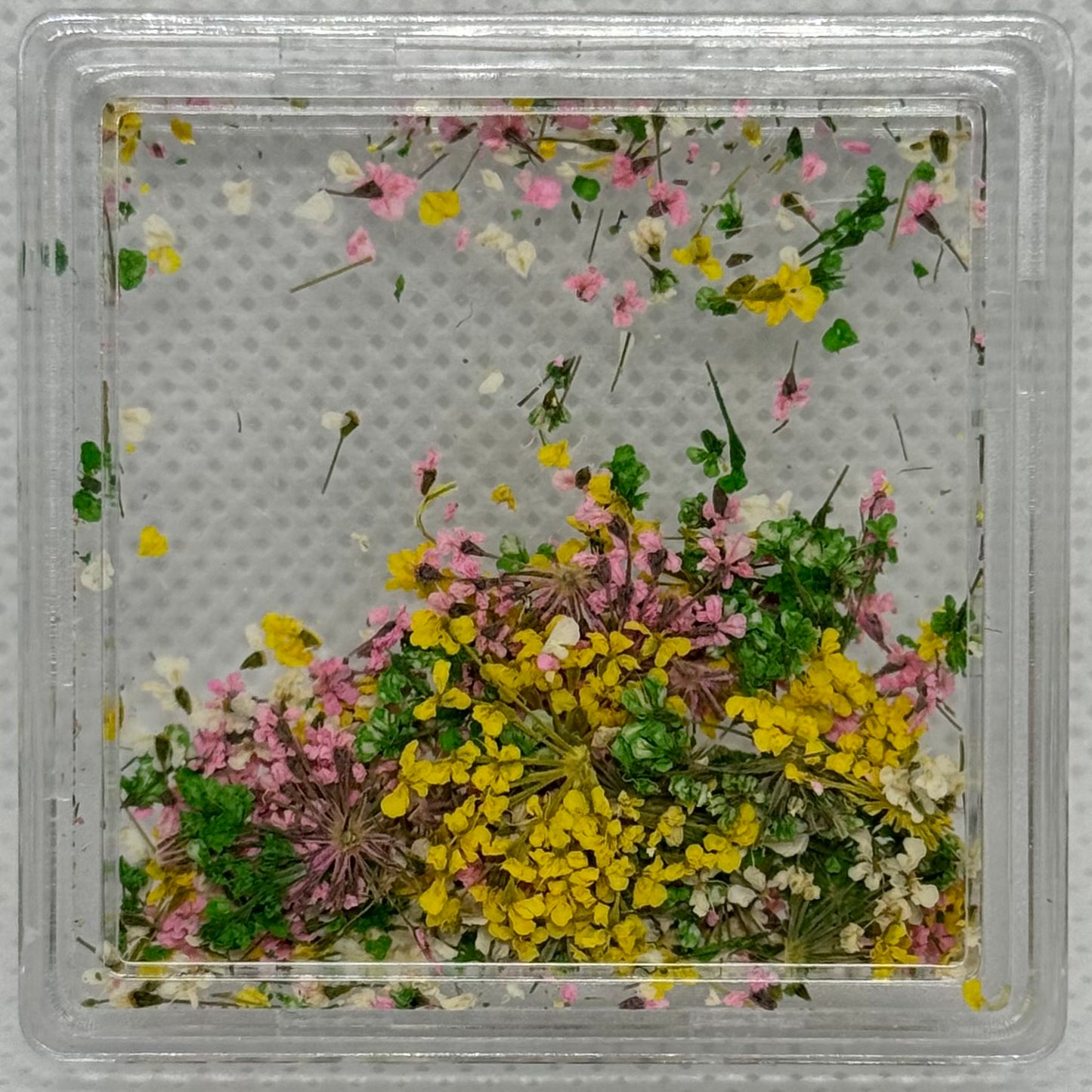 DRIED FLOWERS