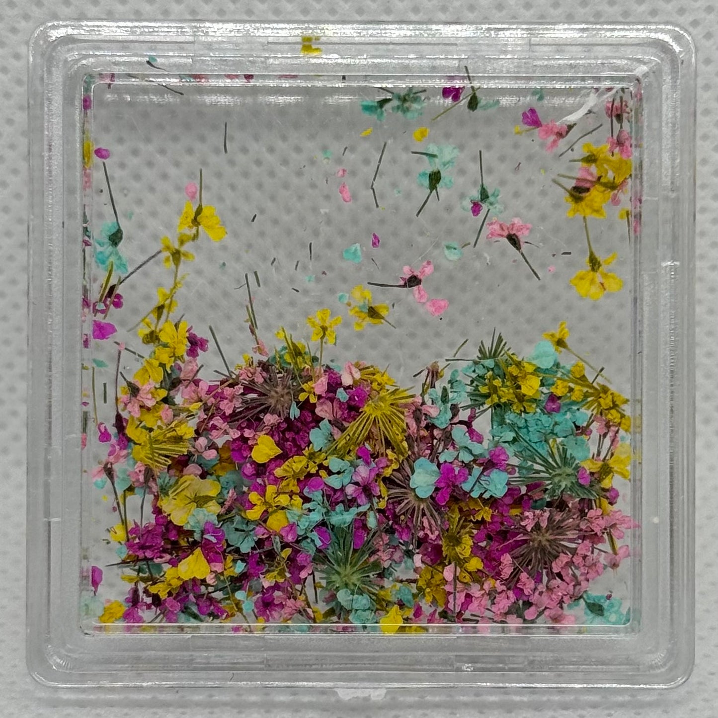 DRIED FLOWERS