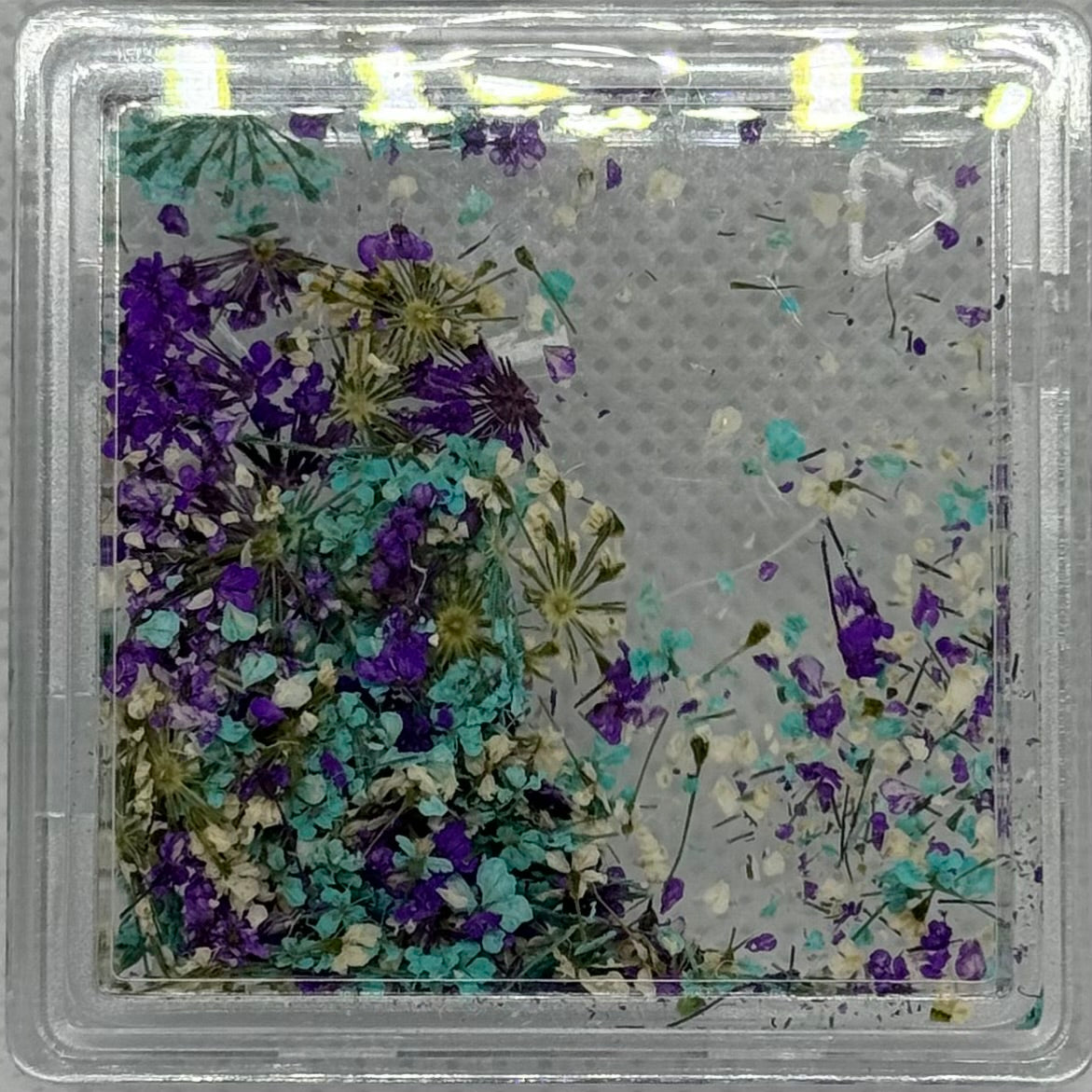 DRIED FLOWERS