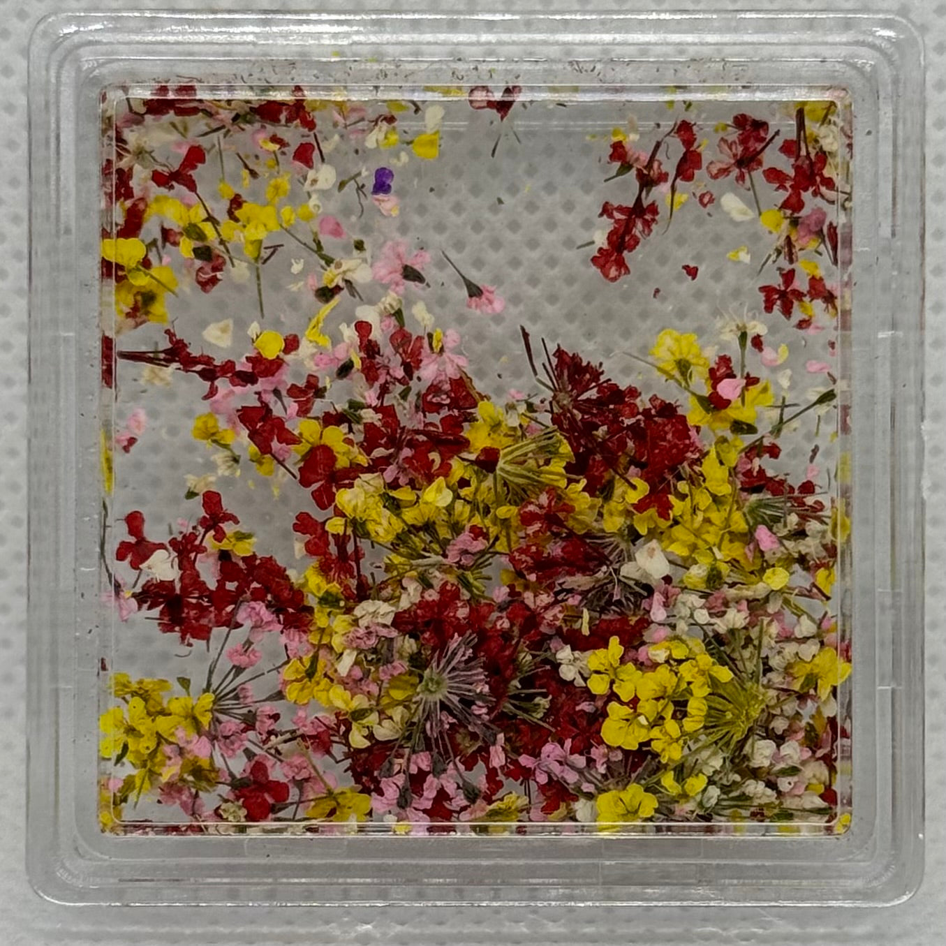 DRIED FLOWERS
