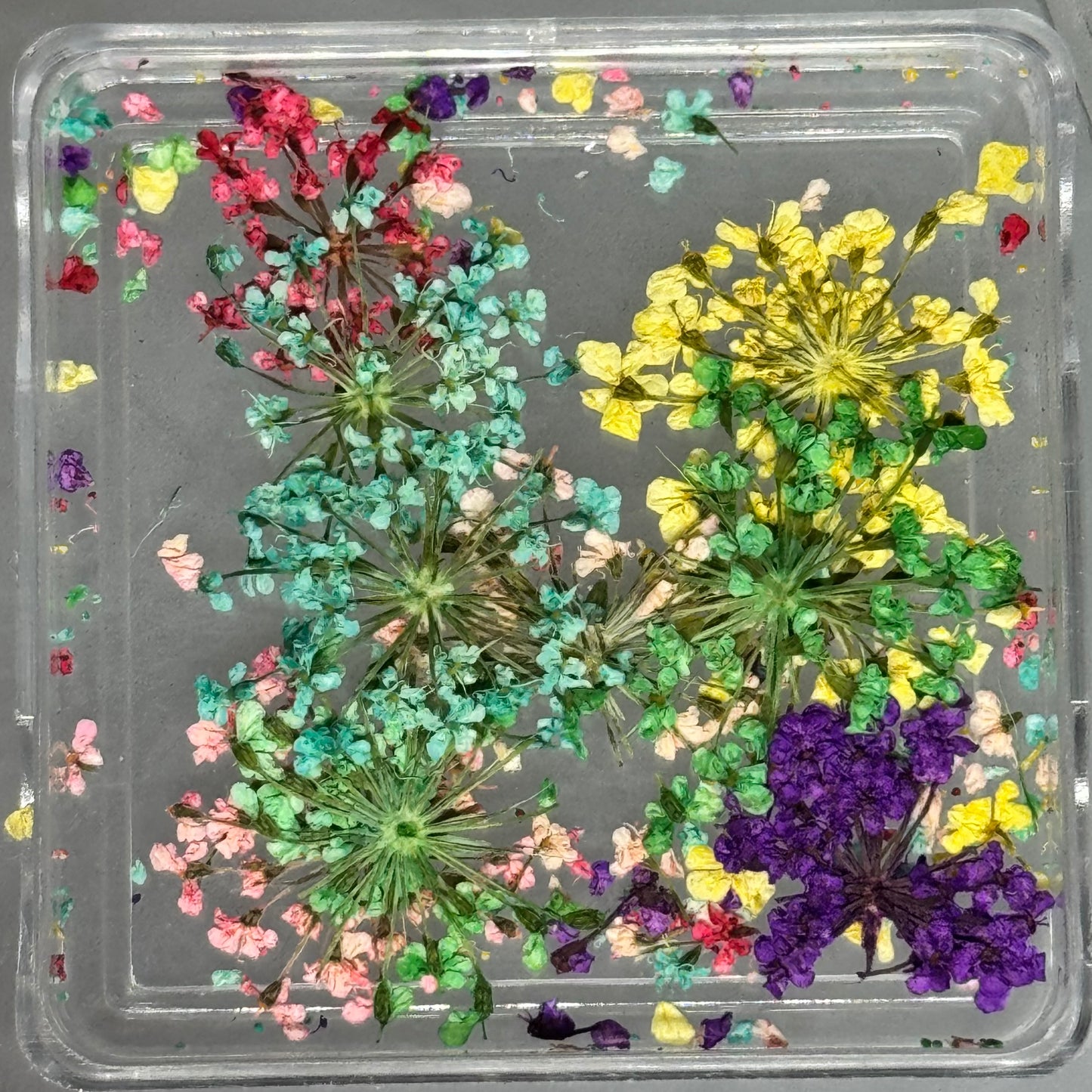 DRIED FLOWERS