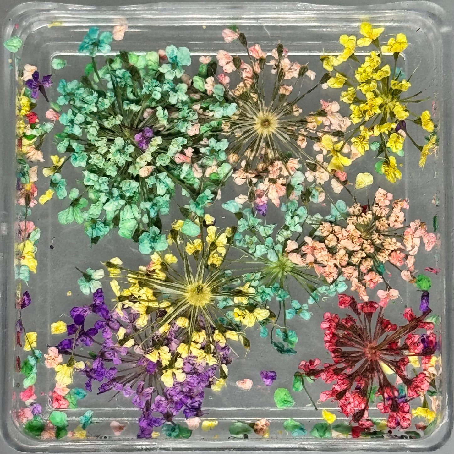 DRIED FLOWERS