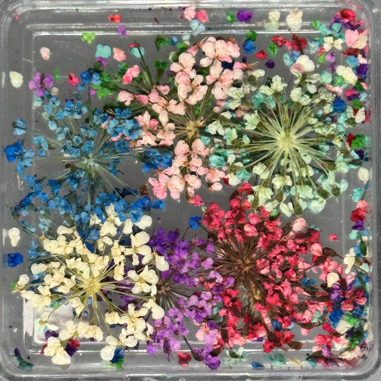 DRIED FLOWERS